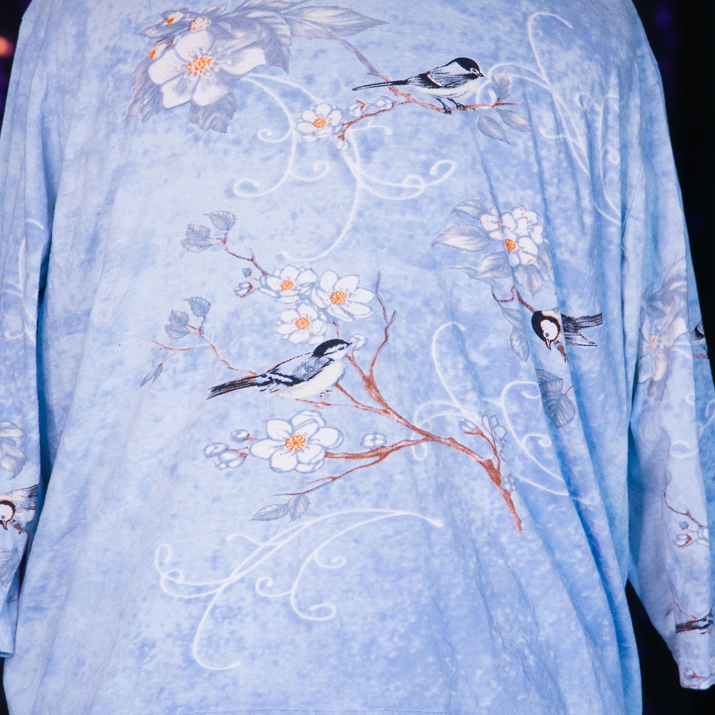 songbirds top