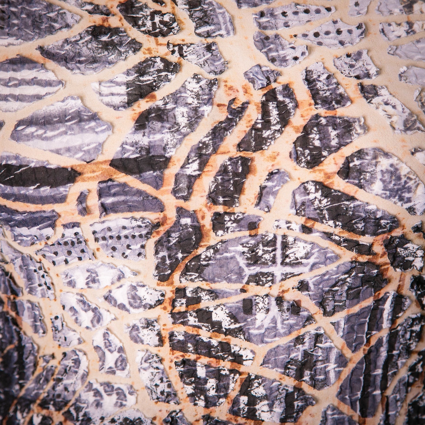 dragon scale top
