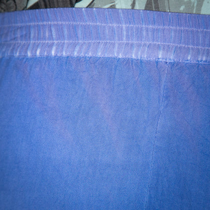 delphinium fairy skirt