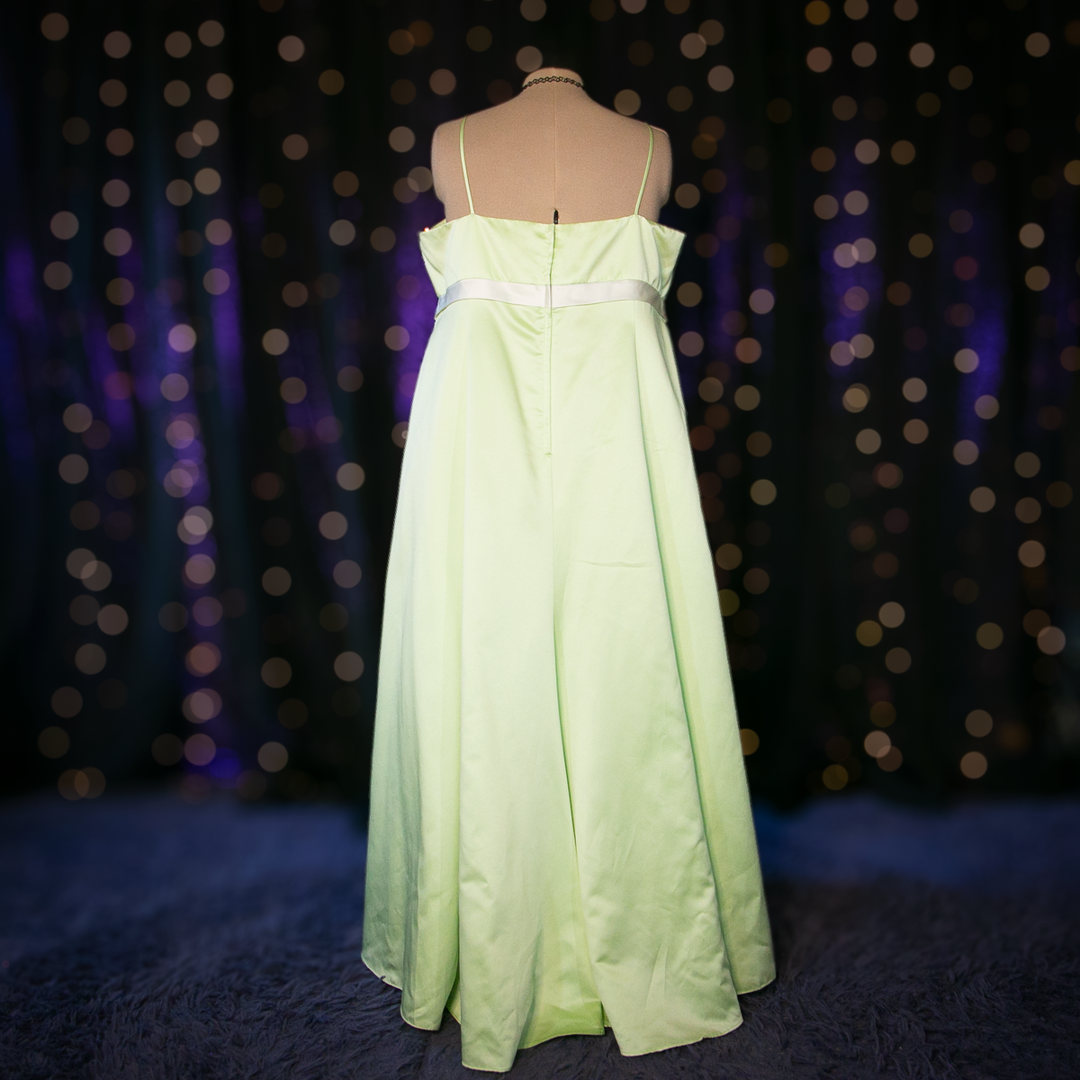 princess and the frog gown