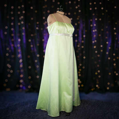 princess and the frog gown