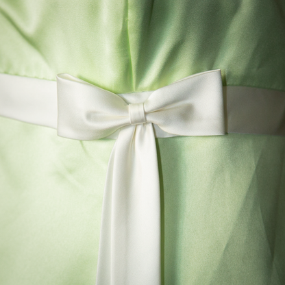 princess and the frog gown