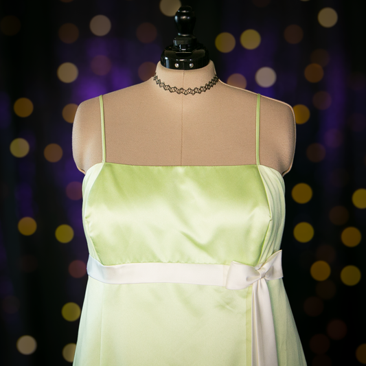 princess and the frog gown