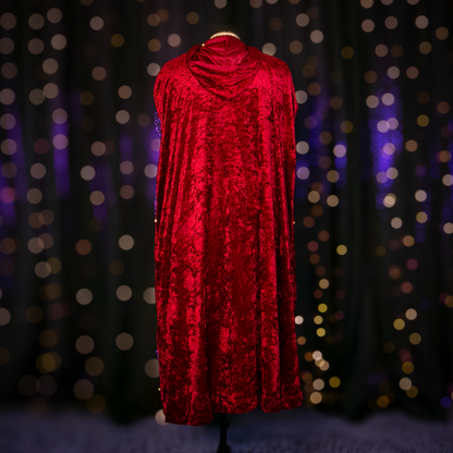 mary sanderson cloak