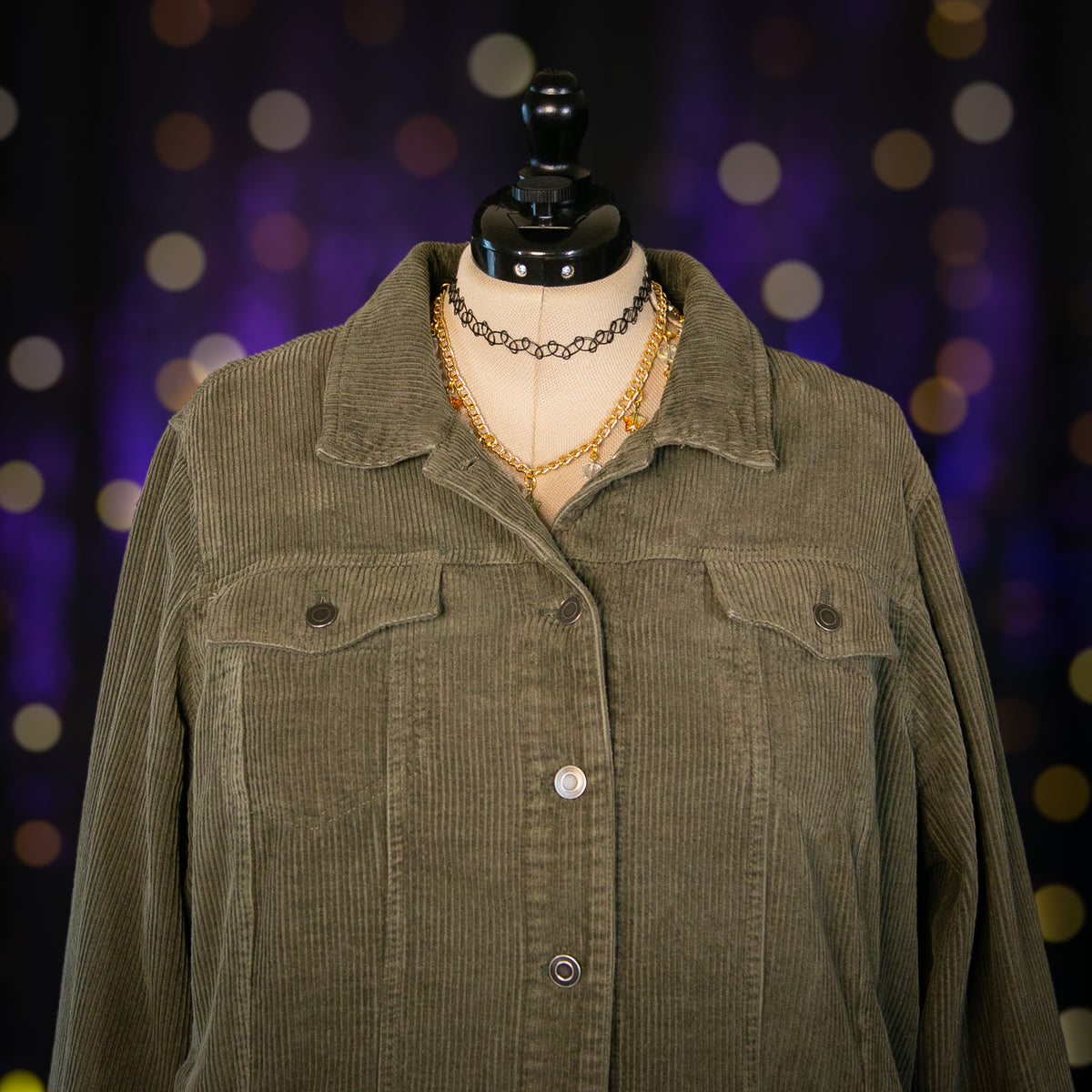 the willow jacket