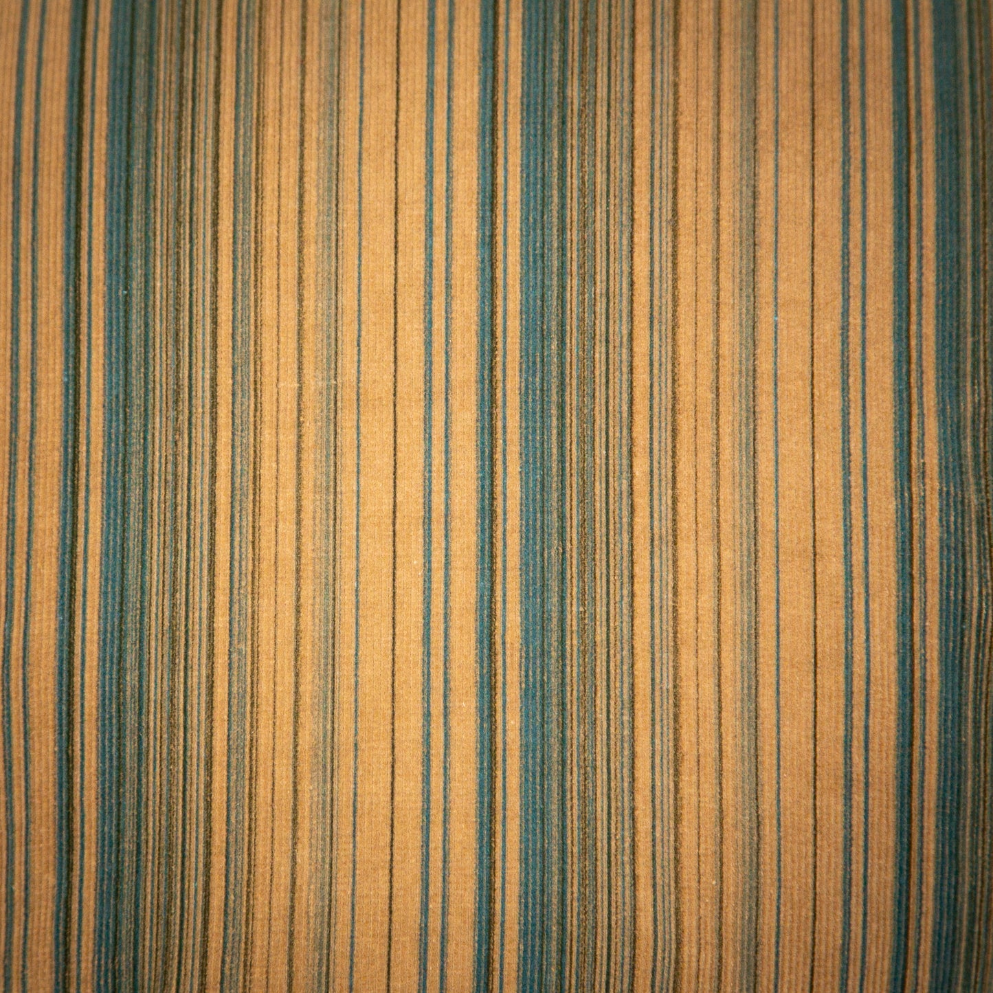 eucalyptus offering jacket