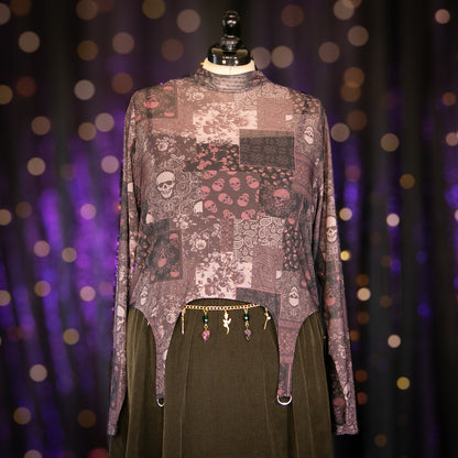 dried skullcap top