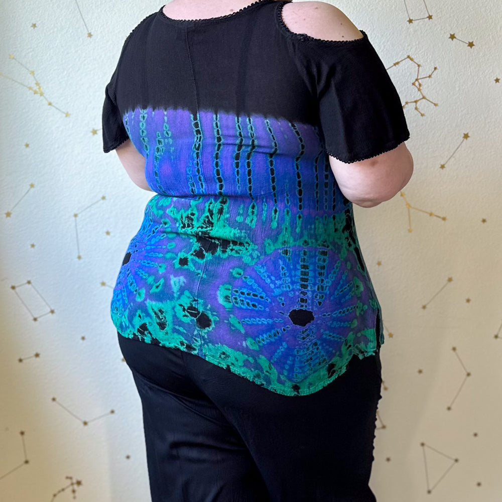 aurora borealis top