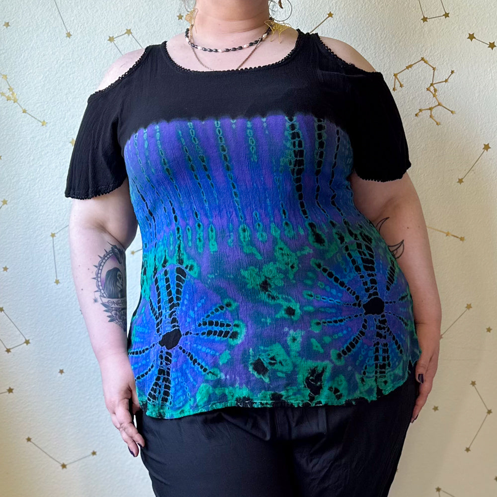 aurora borealis top