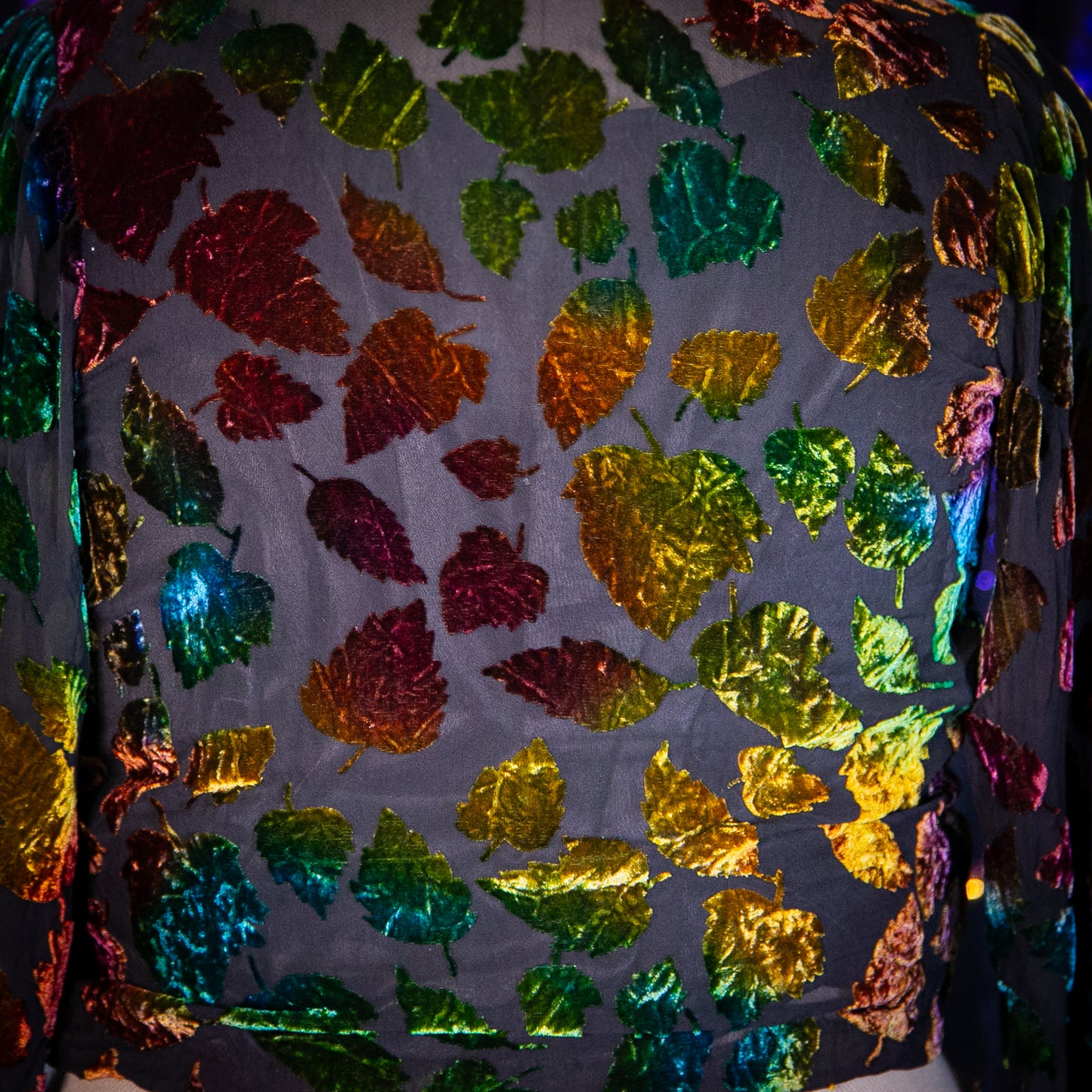 autumn leaves top