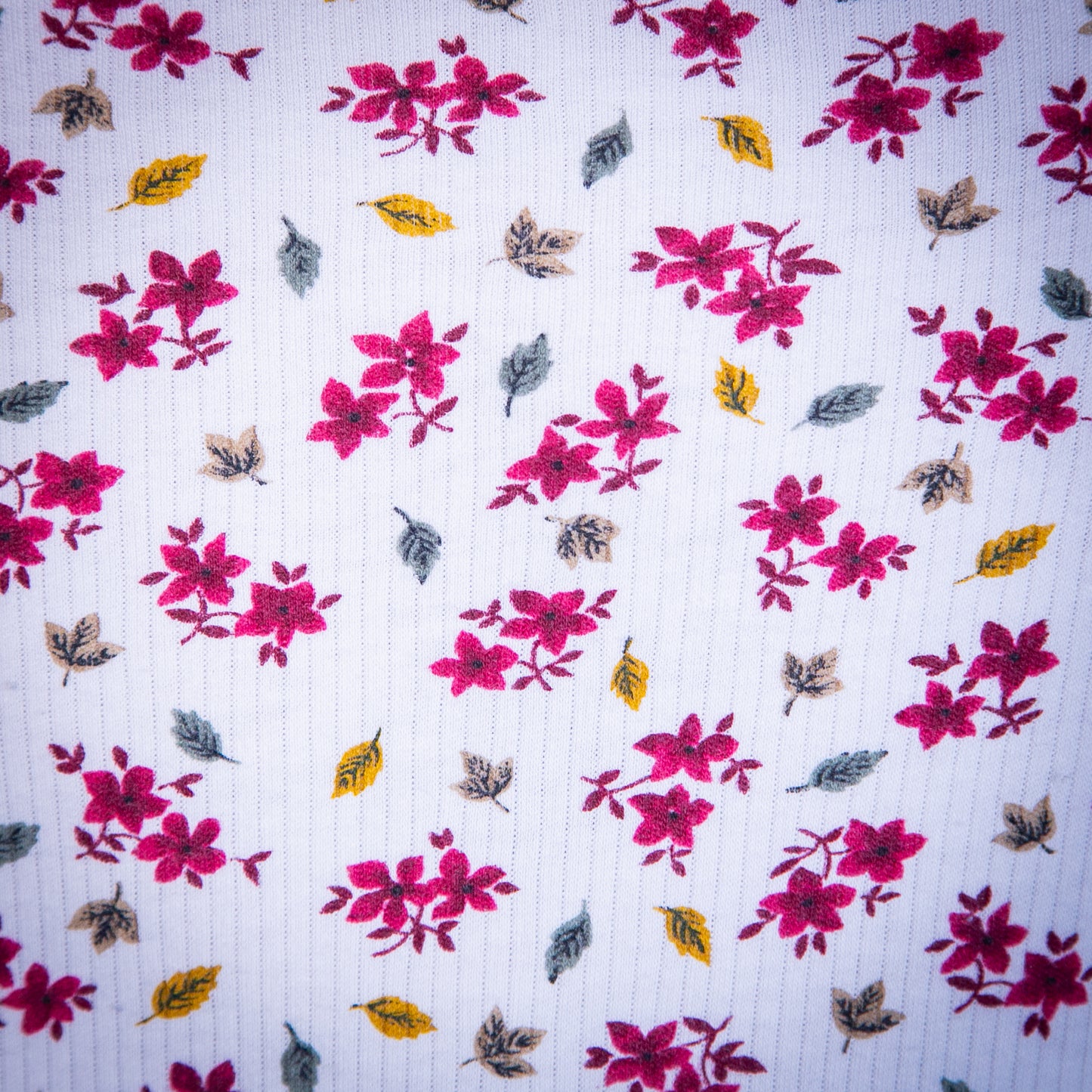 ancient amaryllis top